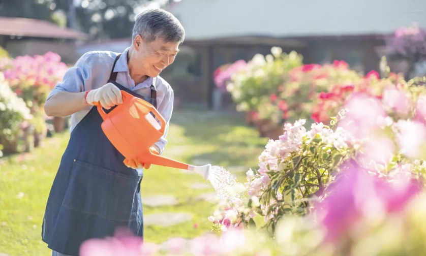 Smart Fall Yard Maintenance: Tools That Tackle Outdoor Mess